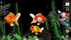 金魚 Gold Fish 3D free ライブ壁紙のおすすめ画像2