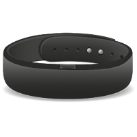 SmartBand SWR10