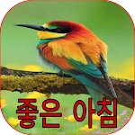 Cover Image of Download 좋은 아침과 좋은 밤  APK