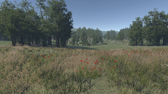 VR Relaxing Meadow