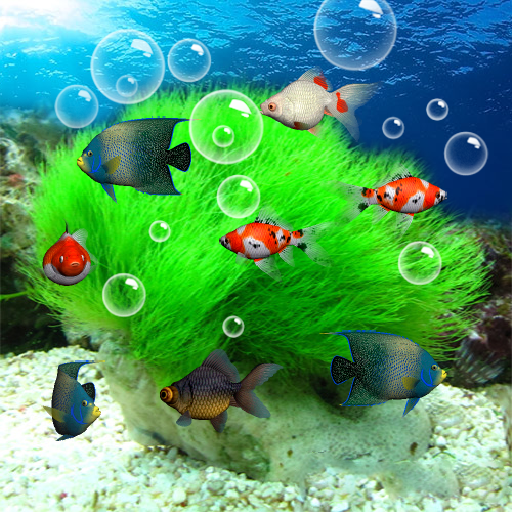 Aquarium Fish – Apps no Google Play