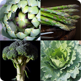 Guess The Vegetable Quiz icon