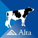 Alta Genetics Bull Search icon