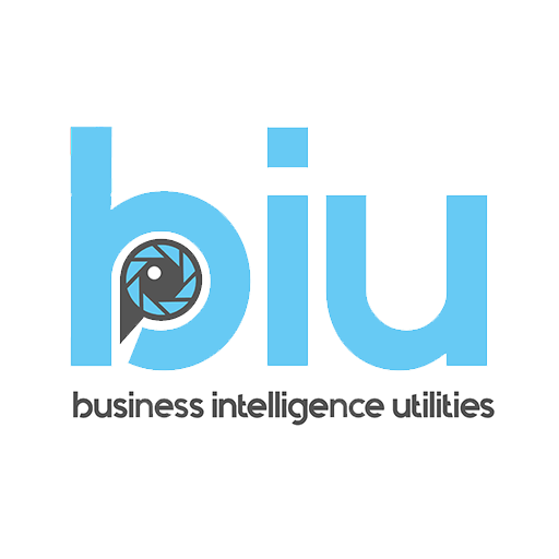 BIU Audit 2 logo