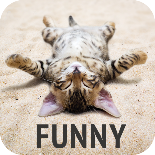 Funny wallpapers logo