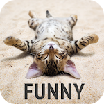 Cover Image of Unduh Funny wallpapers  APK