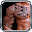 Mejores Tatuajes Para Hombres Download on Windows