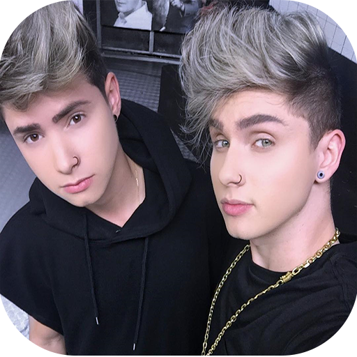 Papéis de Parede Irmãos Berti