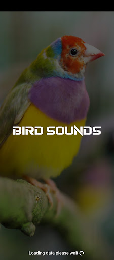 Android application bird sounds screenshort