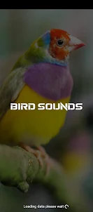 bird sounds