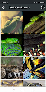 Captura 13 Fondos de Serpiente android