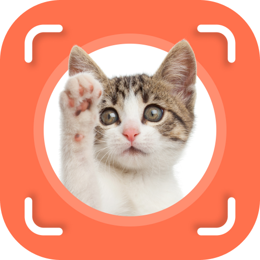 Cat Identifier - Cat Scanner  Icon