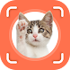 Cat Identifier - Cat Scanner - Androidアプリ