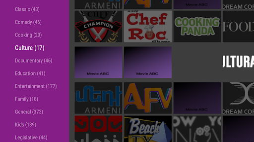 Online TV Screen 2