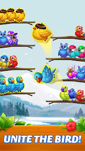 Jungle Bird Sort 2