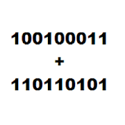 Binary Numbers Calculator