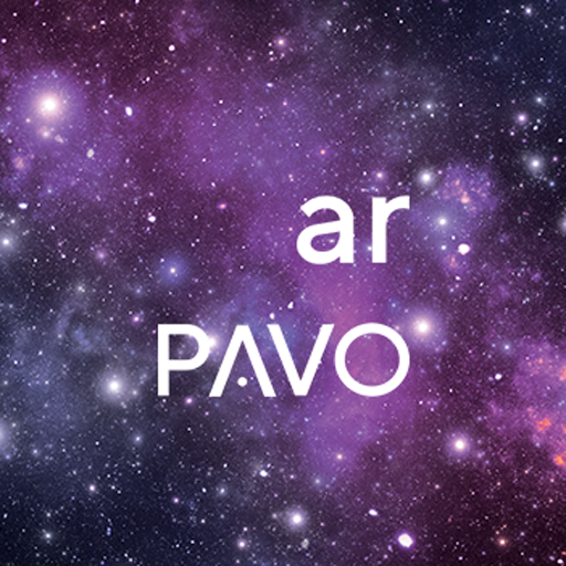 Flinn PAVO AR logo