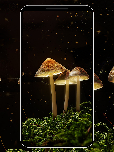 HD Wallpapers Screen 3