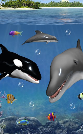 Dolphins and orcas wallpaper
