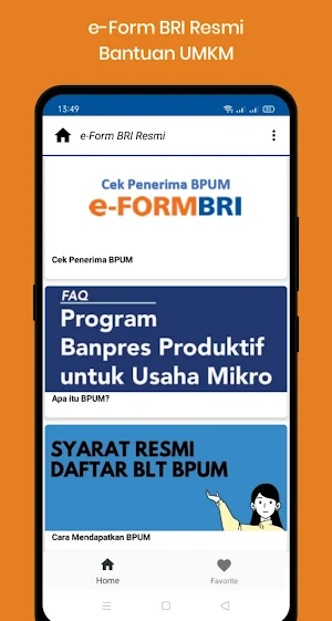 e-FORM BRI - BPUM, UMKM BLT Resmi screenshot 1