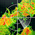 Local Weather Forecast & Real-time Radar checker 16.6.0.6325_50165