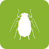 BugFinder icon