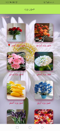 Android application خلفيات ورد screenshort