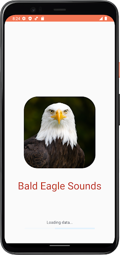 Android application Bald Eagle Sounds screenshort