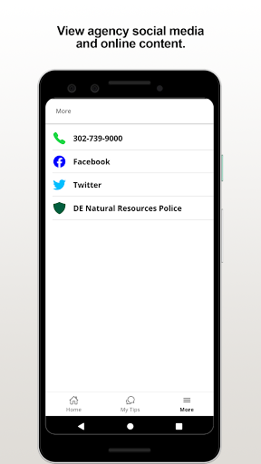 DENRP Tip Screen 3