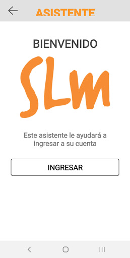 SLM Phone Screen 2
