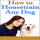 Dog House Training icon