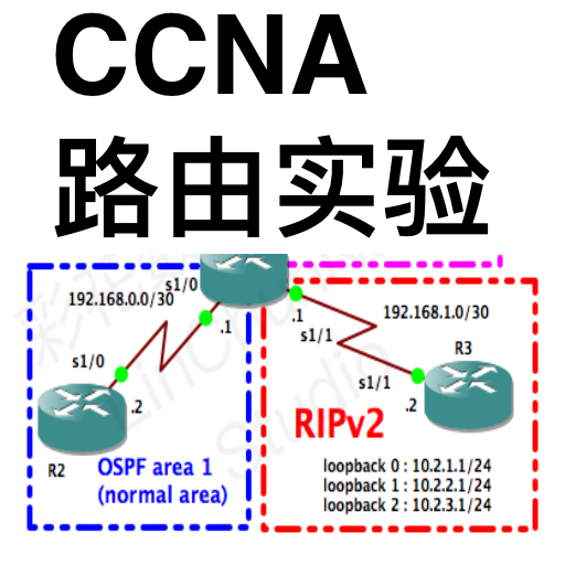 CCNA Labs Routing Lite 2.2.16 Icon