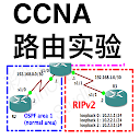 CCNA Labs Routing Lite 