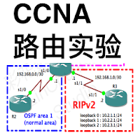 CCNA Labs Routing Lite