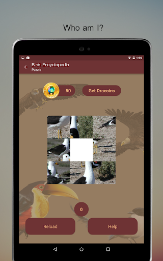 Screenshot of Birds Encyclopedia Offline App