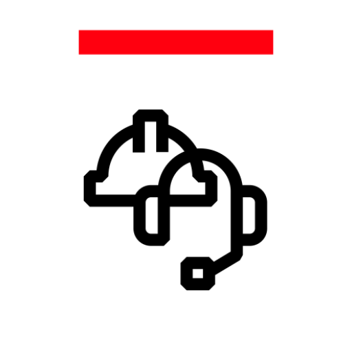 RAISE logo