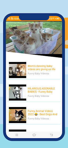 Funny Videos  Cat Videos