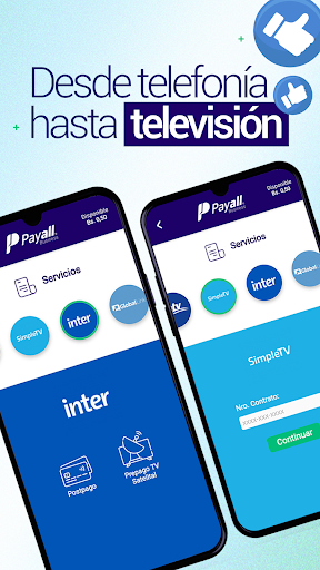 Payall Business Screen 3
