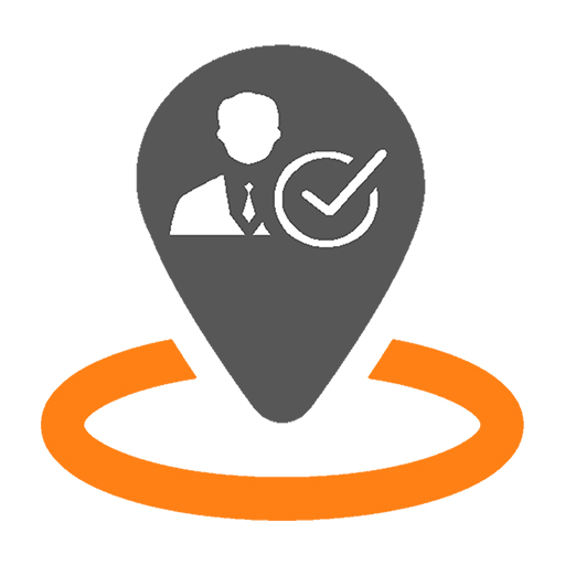 Solo Importación logo