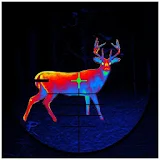 Deer Hunting  -  2016 Sniper 3D icon