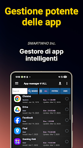 Immagine screenshot