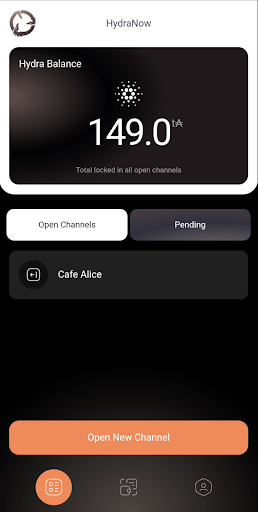 HydraNow Screen 2