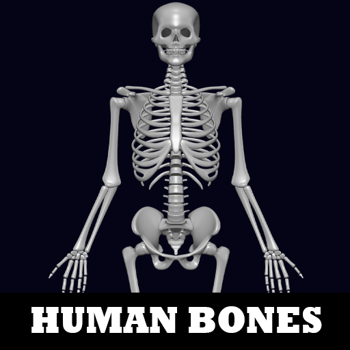 Human Bones Download on Windows