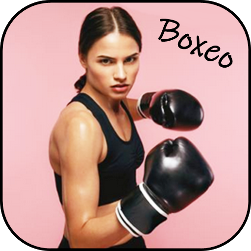 Learn Boxing logo