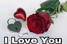 I love you flowers images GIF & rose HD wallpapersのおすすめ画像2