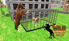 Wild Pony Horse Run Simulatorのおすすめ画像1