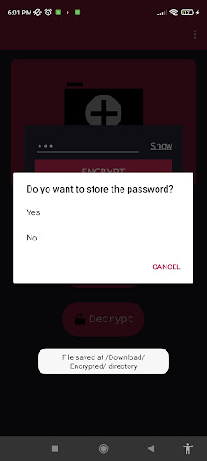 AES Cryptographic Tool