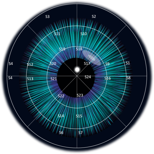 EIA - Eye Image Analyzer logo