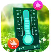 Neon thermometer (ambient temperature)