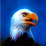 Cover Image of Download Eagle HD Wallpaper 1.1 APK